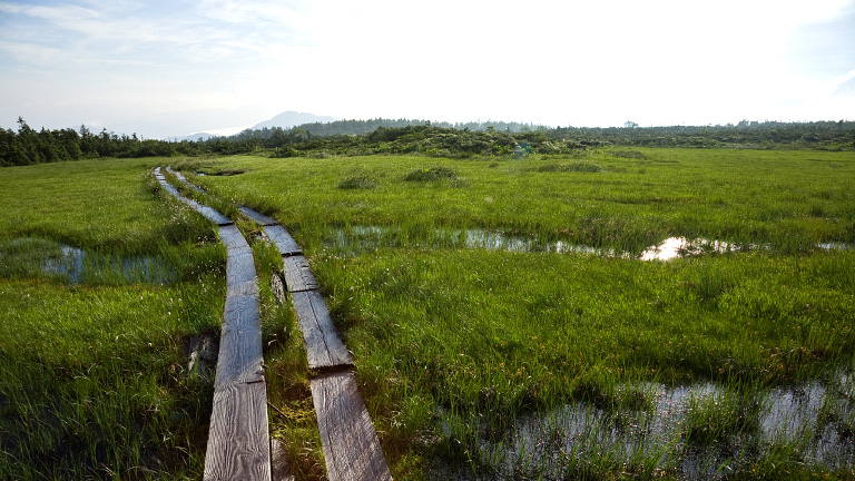Tashiro Forest, Fukushima Prefecture